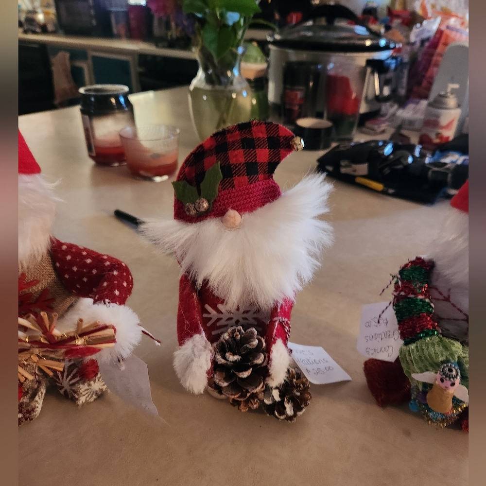 Homemade Gnomes